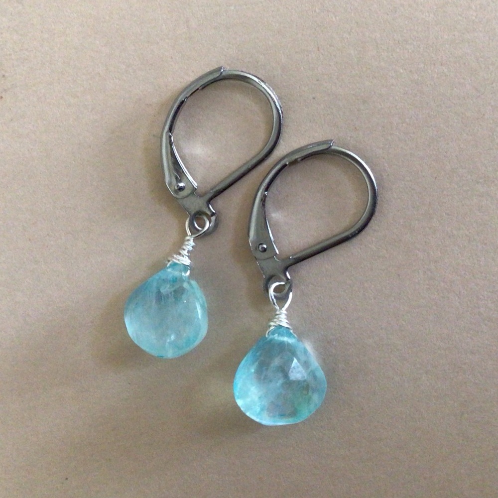 Natural Aquamarine Sundance Charm Earrings - Picture 10 of 12